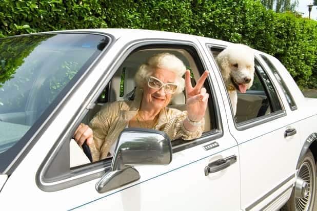 Senior woman in car with poodle