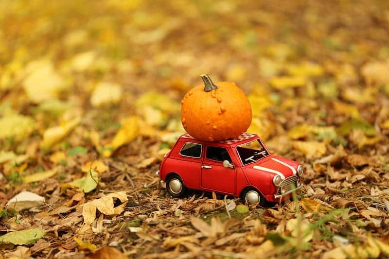 Pumpkin on top of model car