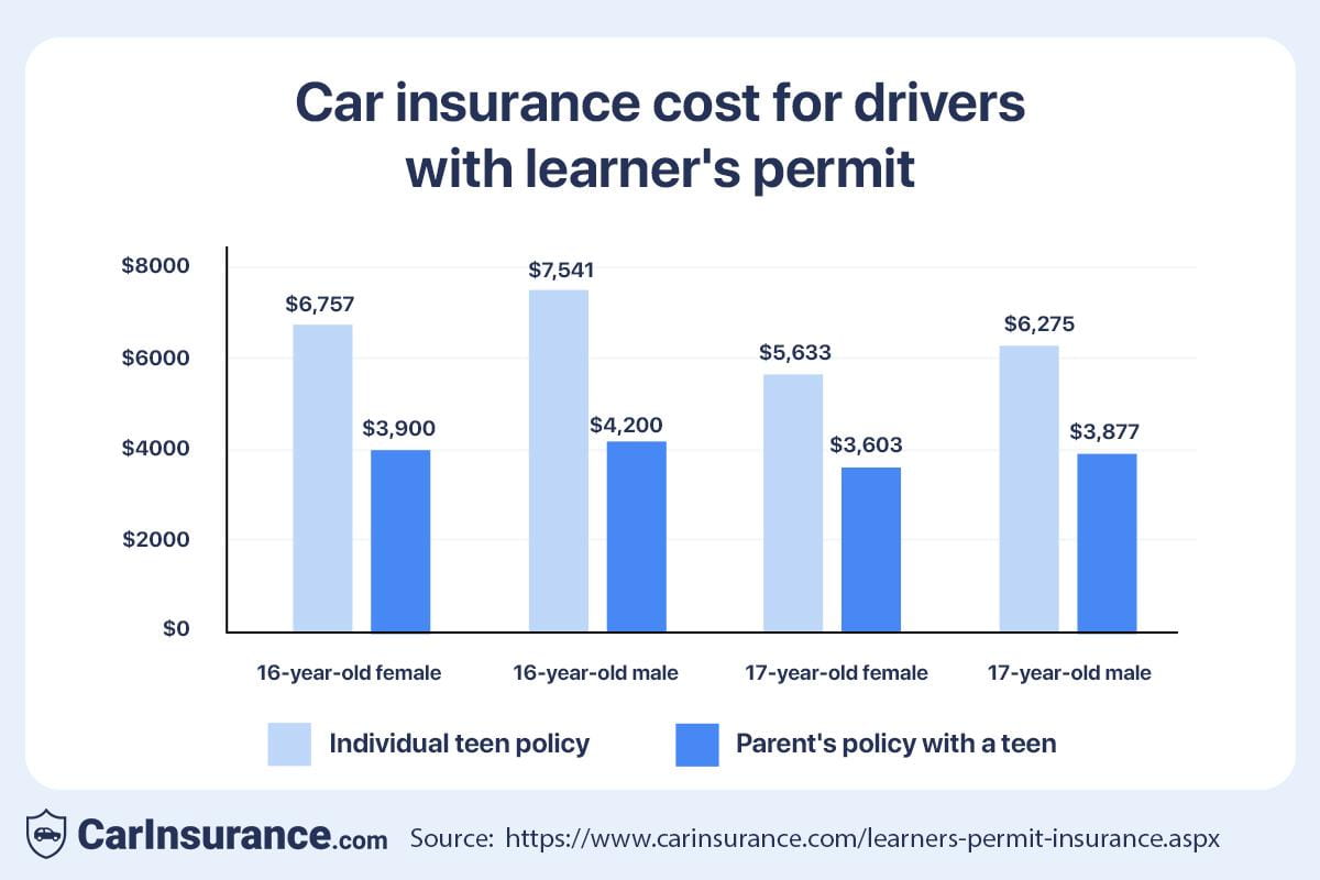 Car insurance costs for drivers with learner