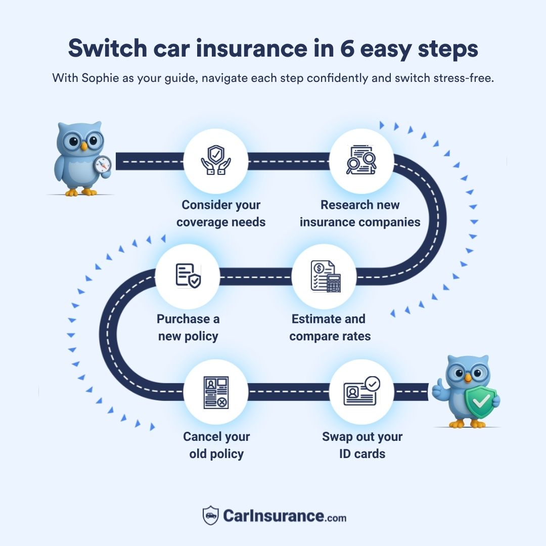 Switch car insurance in 6 steps with Sophie